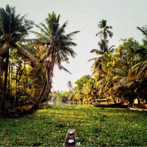 Alleppey Backwater Resort Island tour image 1