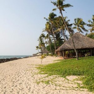 Marari Beach tour image 4